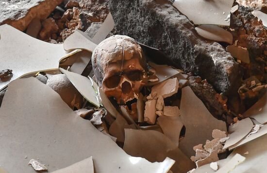 � ��� ����� ������ �� �������� ���������� ���� ���������� �����