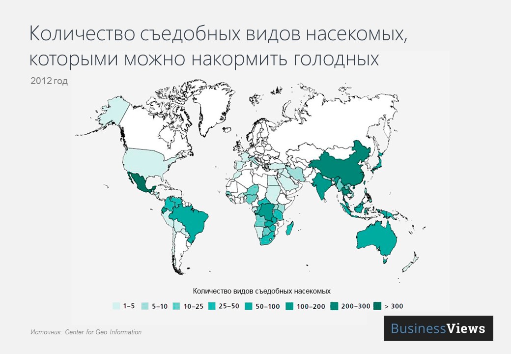 Описание: съедобные насекомые