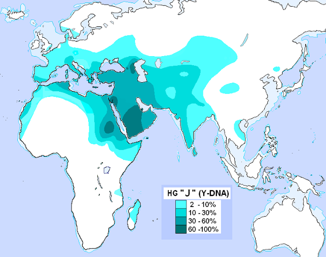 http://2.bp.blogspot.com/-8rc6K8KKptY/UHaDb4m1q7I/AAAAAAAAAHA/v9ow3_sajxk/s640/Haplogroup_J_(Y-DNA).PNG