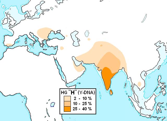 http://2.bp.blogspot.com/-6u7XFzW2FIU/UHaEgZESc6I/AAAAAAAAAHo/T9EDCvwzB_U/s640/Haplogrupo_H_(ADN-Y).PNG