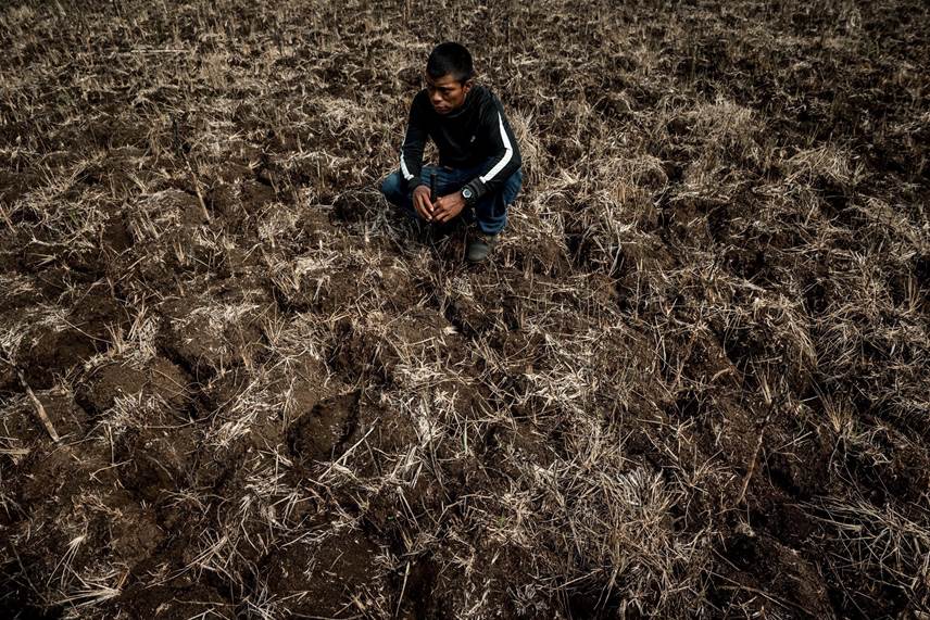 Індіанець (indigeno) на землі, яка тепер надто суха, щоб давати врожай: Гватемала