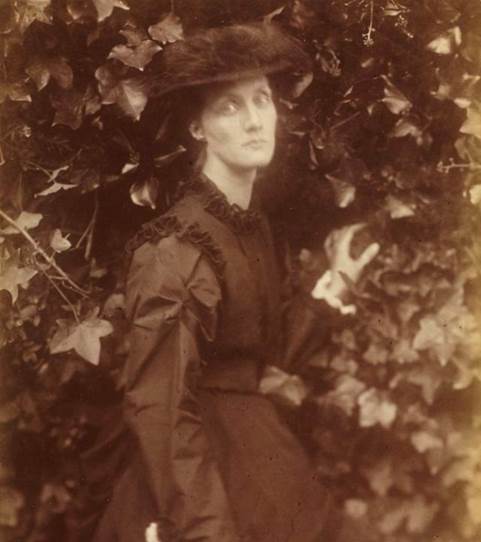 ���� ³������� ���� � ��� 28 ����