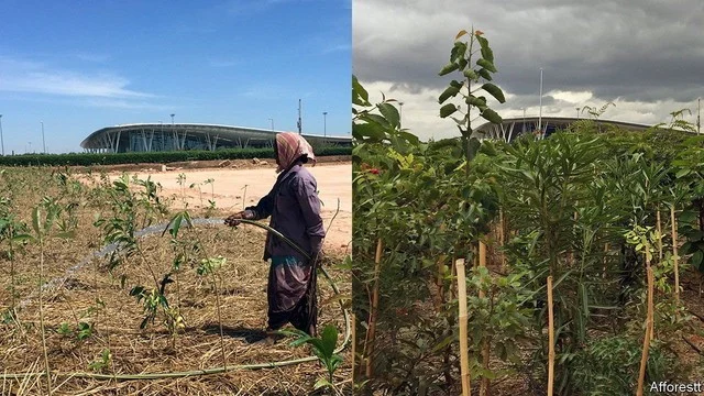 "��, �� �� � �� ����!": �� ̳����, ����� ��� ����� ���� ������������