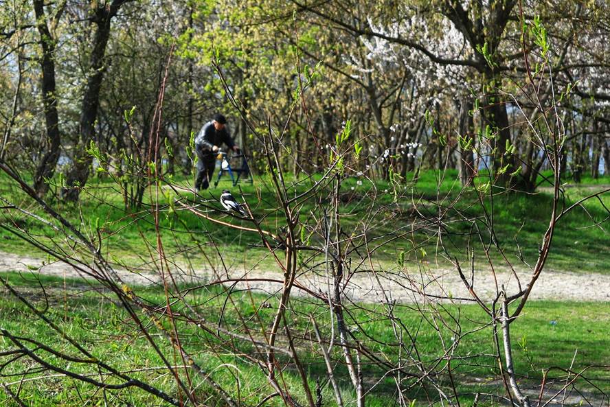 ˳� �� ��������� �������: ���� ������ �����